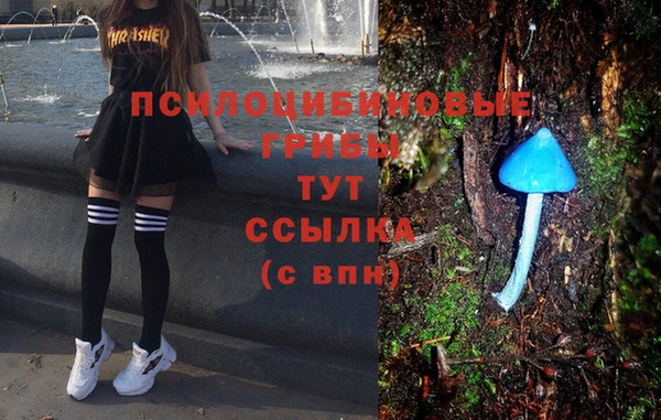 эйфоретик Волосово