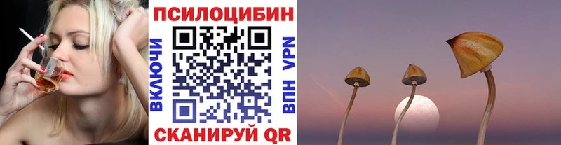 Псилоцибиновые грибы GOLDEN TEACHER  ссылка на мегу ссылка  Медногорск 