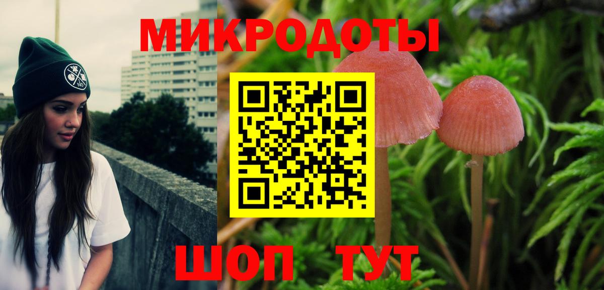 Медногорск  Галлюциногенные грибы прущие грибы  Вход с VPN 