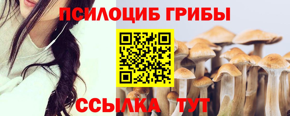 Псилоцибиновые грибы мицелий Медногорск